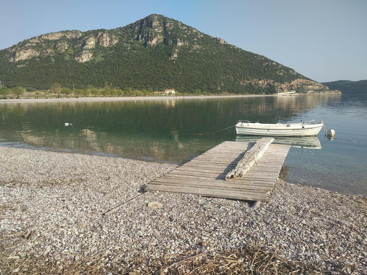 Hotel Theasis Paralia Sergoulas 외부 사진