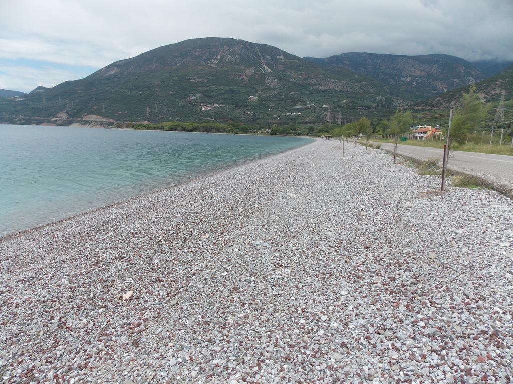 Hotel Theasis Paralia Sergoulas 외부 사진